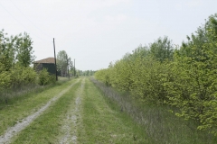 05-IMG_3680bis