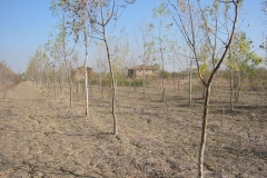 05-ottobre 2003