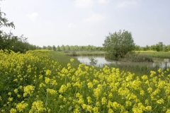 11-IMG_3718