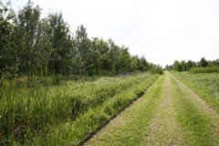 27-MG_4838