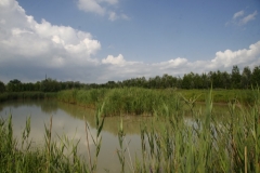 31-MG_4879