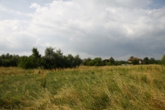 34-MG_4896
