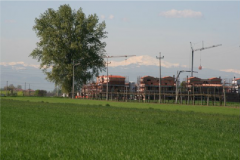 Cattura154