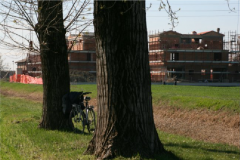 Cattura35-1