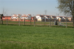 Cattura36-1