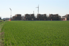 Cattura37-1