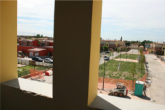 Cattura42-1