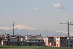 bassetta_montagna2