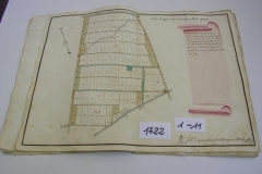 IMGP0082
