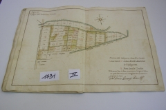 IMGP0093