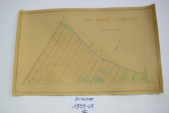 IMGP0195