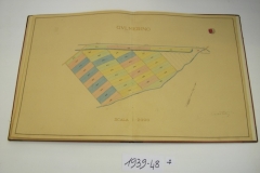IMGP0220