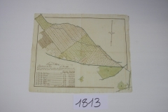 IMGP0231