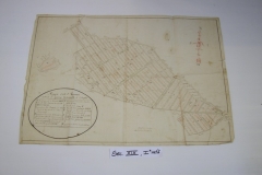 IMGP0251