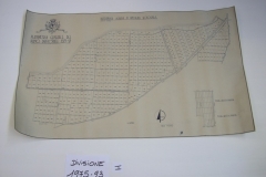 IMGP0296