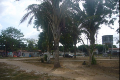 Cattura106