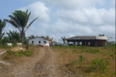 Cattura11