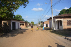 Cattura31