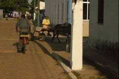 Cattura34