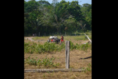 Cattura37