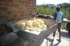 Cattura40