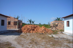 Cattura49