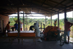 Cattura65