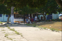 Cattura81