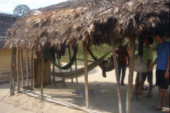 Cattura97