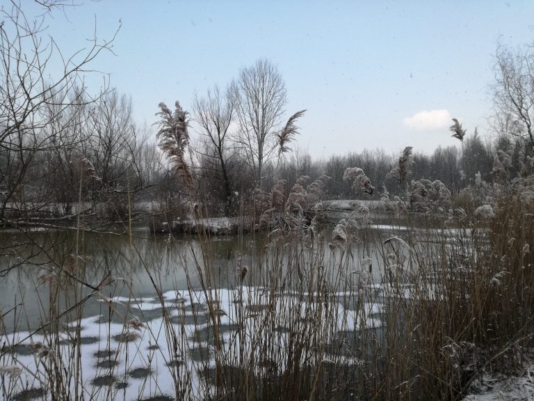 Scopri di più sull'articolo La neve in Partecipanza 27-02-2018